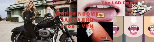прущие грибы Верхнеуральск