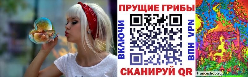 хочу наркоту  Щёлково  Галлюциногенные грибы мухоморы 
